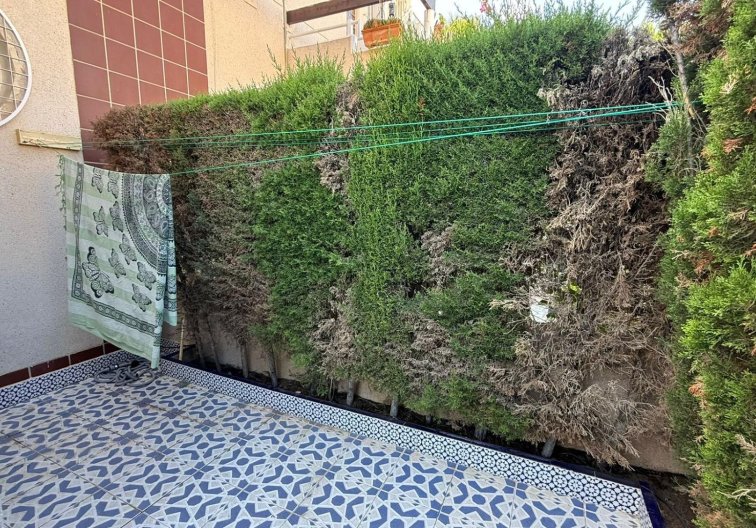 Resale - Bungalow - Torrevieja - Punta Prima