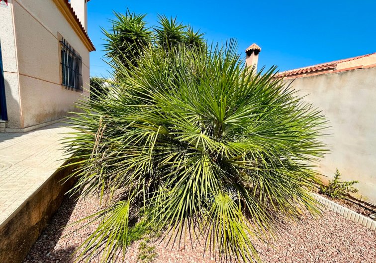 Revente - villa - Torrevieja - Costa Blanca