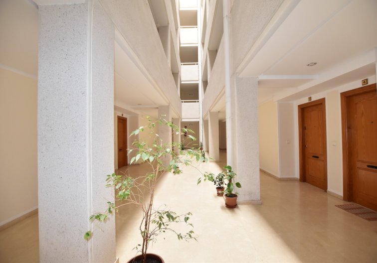 Segunda mano - Apartamento  - La Mata - Costa Blanca