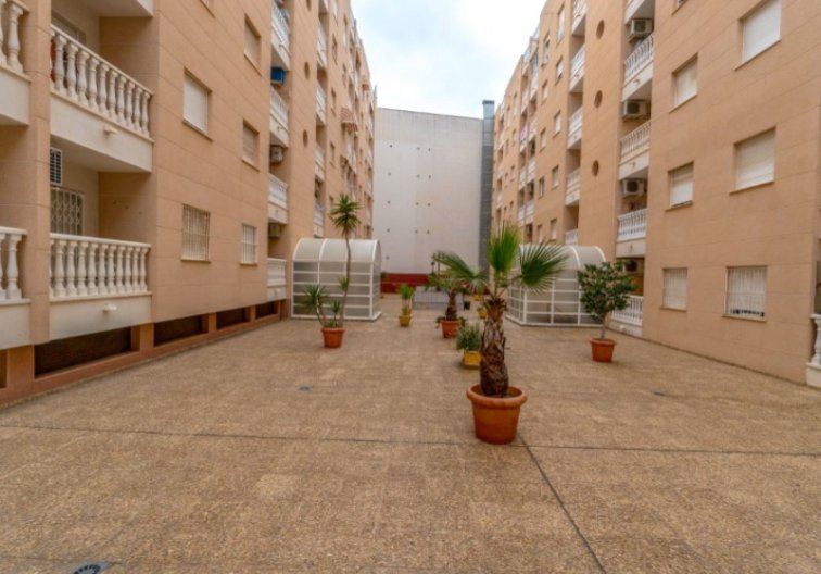 Segunda mano - Apartamento  - Torrevieja - Costa Blanca