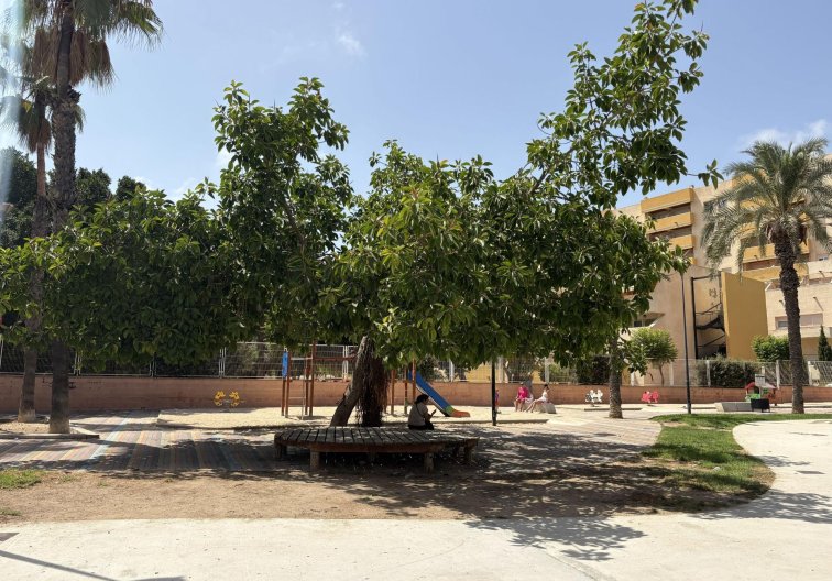 Segunda mano - Apartamento  - Torrevieja - Playa del Cura