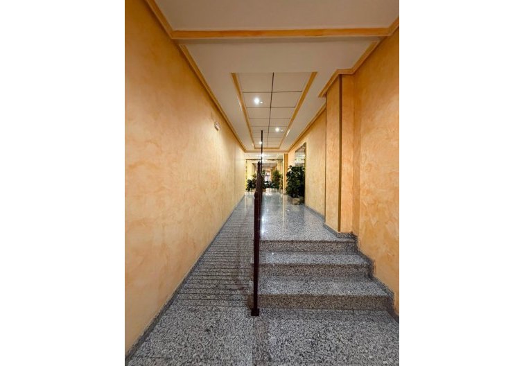 Segunda mano - Apartamento  - Torrevieja - Estacion De Autobuses