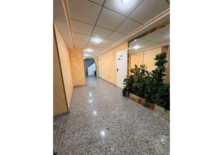Segunda mano - Apartamento  - Torrevieja - Estacion De Autobuses
