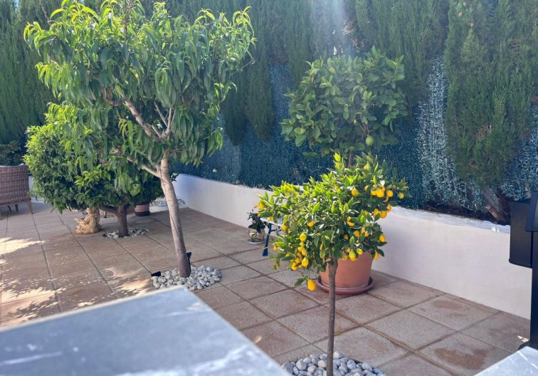 Revente - Semi Detached - Torrevieja - Los Balcones 