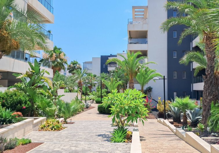 Segunda mano - Apartamento  - Orihuela Costa - Los Dolses