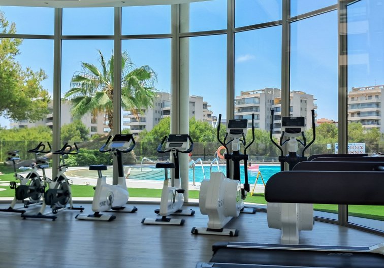 Segunda mano - Apartamento  - Orihuela Costa - Los Dolses
