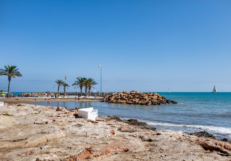 Wiederverkauf - Wohnung - Torrevieja - Centro