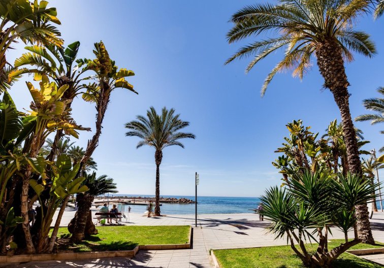 Wiederverkauf - Wohnung - Torrevieja - Centro