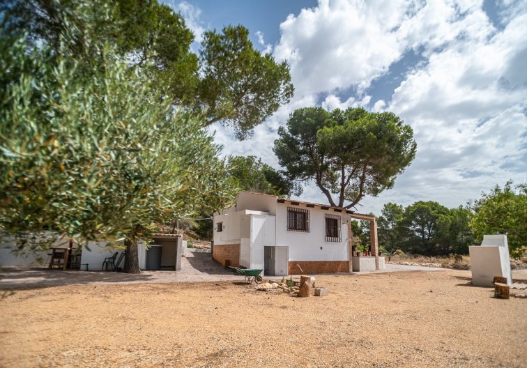 Segunda mano - villa - La Tercia Golf Resort - Inland
