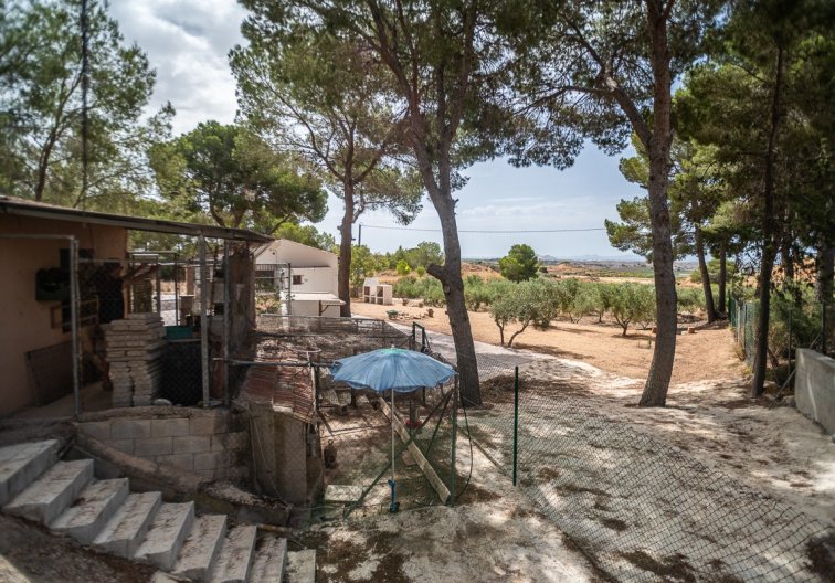 Segunda mano - villa - La Tercia Golf Resort - Inland