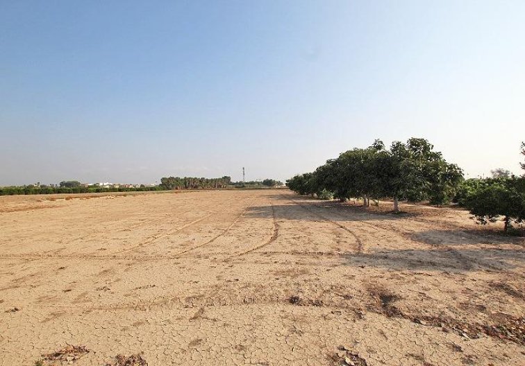 Herverkoop - Finca - Daya Nueva - Comunidad Valenciana