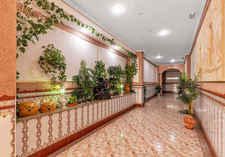 Segunda mano - Apartamento  - La Mata - Costa Blanca