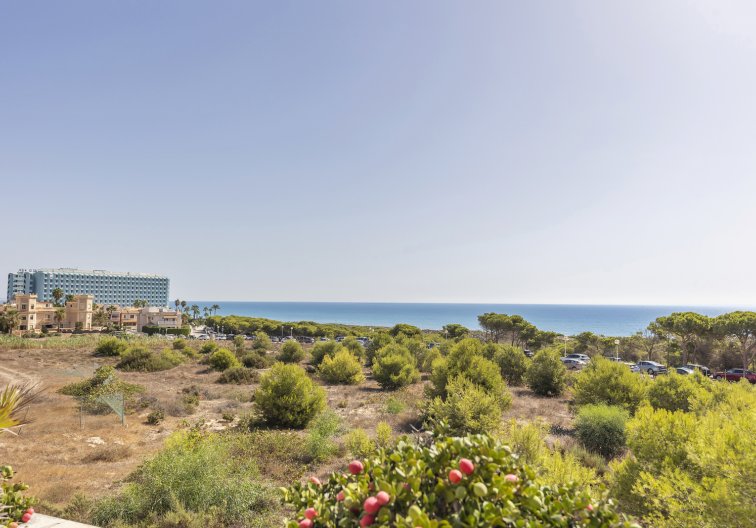 Wiederverkauf - Wohnung - Guardamar del Segura - Costa Blanca
