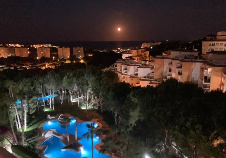 Resale - Apartment - Orihuela Costa - Altos De Campoamor
