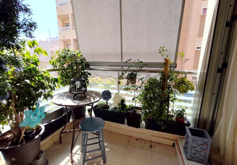 Segunda mano - Apartamento  - Torrevieja - Costa Blanca