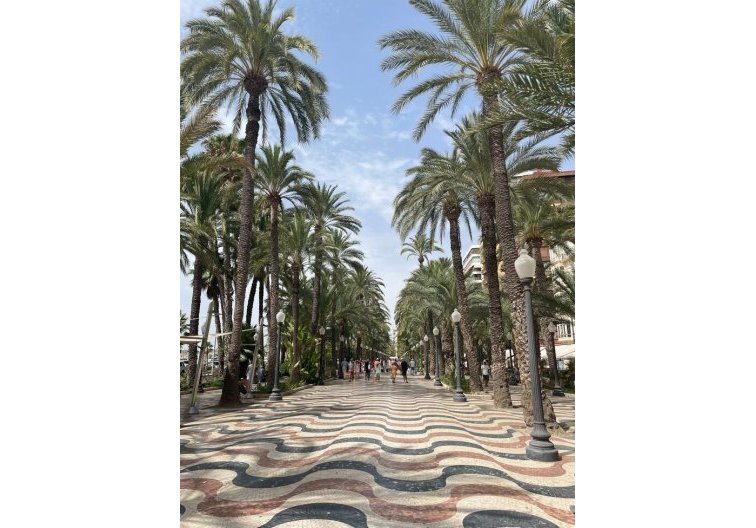 Segunda mano - Apartamento  - Alicante - Costa Blanca