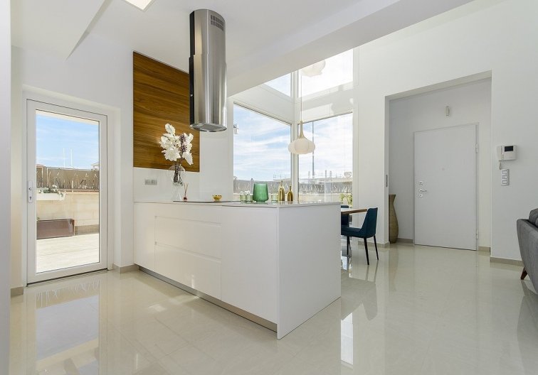 New Build - villa - Los Montesinos - La Herrada