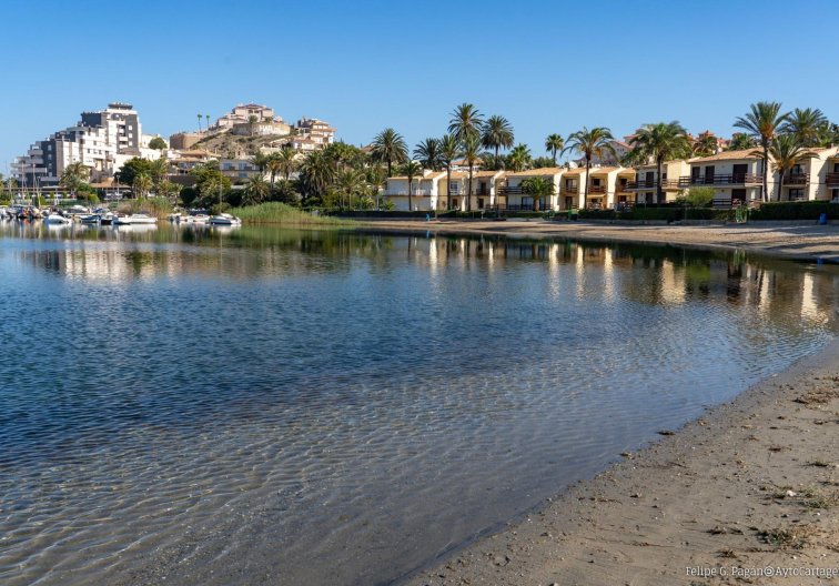 Nieuwbouw - Bungalow - La Manga Club