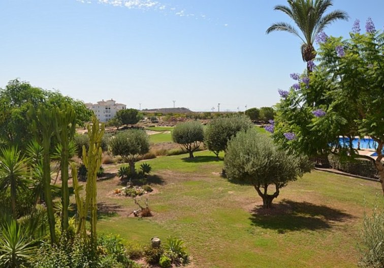 Wiederverkauf - Wohnung - Hacienda Riquelme Golf Resort - Inland
