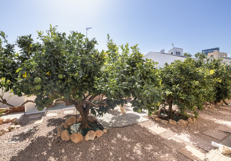 Wiederverkauf - villa - La Regia - Costa Blanca