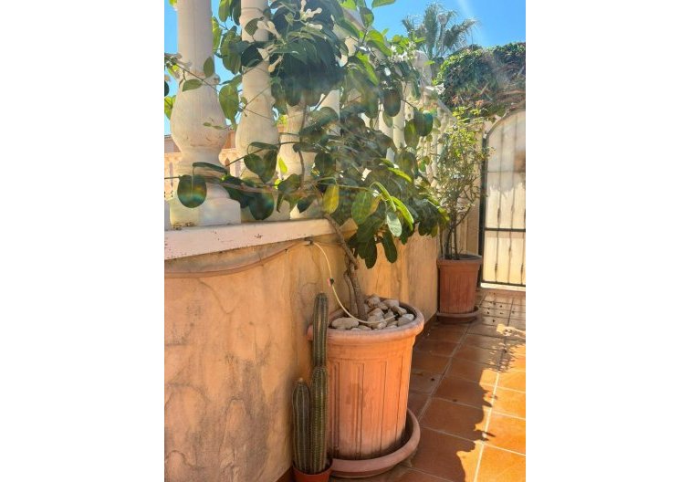 Resale - villa - Orihuela Costa - Lomas de Cabo Roig