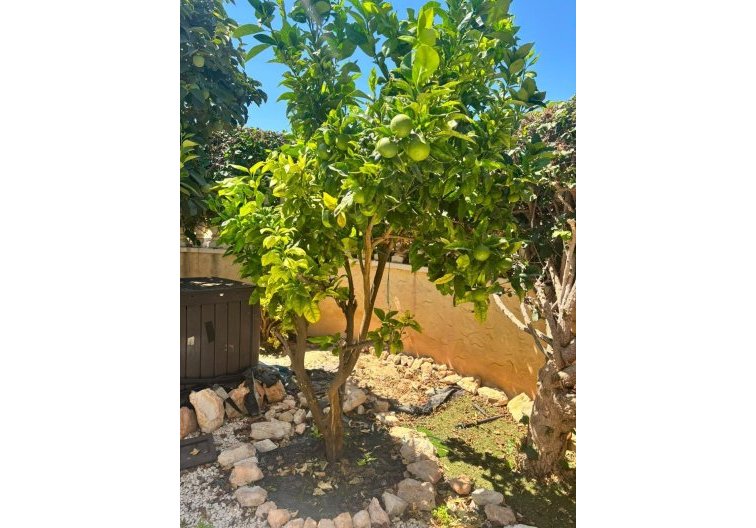 Resale - villa - Orihuela Costa - Lomas de Cabo Roig