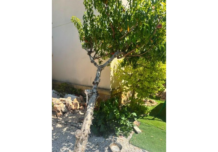 Resale - villa - Orihuela Costa - Lomas de Cabo Roig