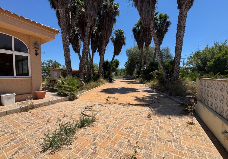 Wiederverkauf - Finca - Dolores - Comunidad Valenciana