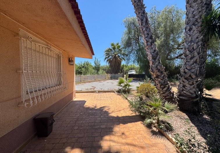 Wiederverkauf - Finca - Dolores - Comunidad Valenciana