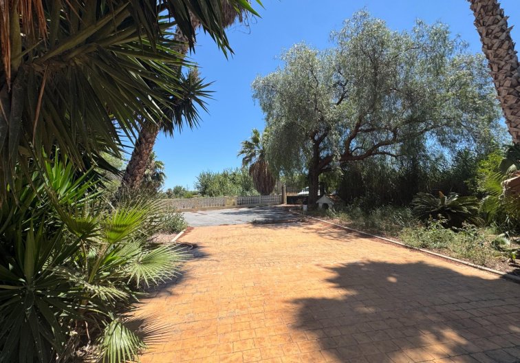 Wiederverkauf - Finca - Dolores - Comunidad Valenciana