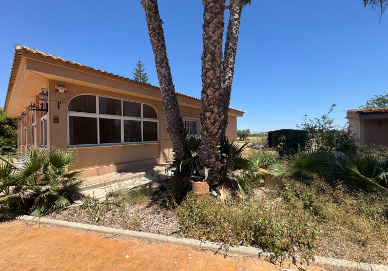 Wiederverkauf - Finca - Dolores - Comunidad Valenciana