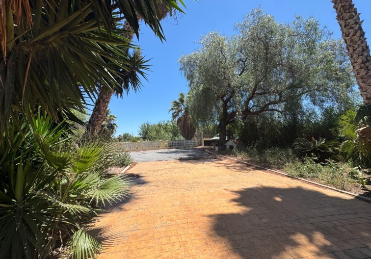 Wiederverkauf - Finca - Dolores - Comunidad Valenciana