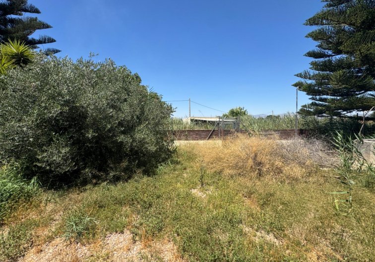 Wiederverkauf - Finca - Dolores - Comunidad Valenciana