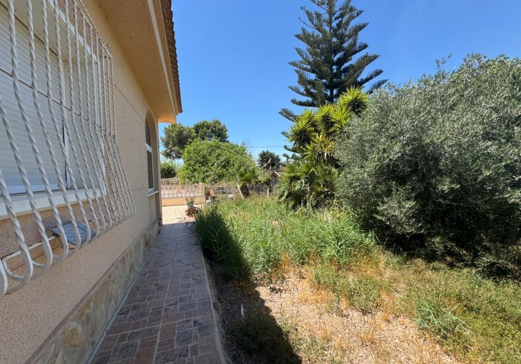 Wiederverkauf - Finca - Dolores - Comunidad Valenciana