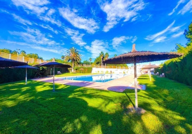 Revente - Penthouse - Torrevieja - Calas Blanca