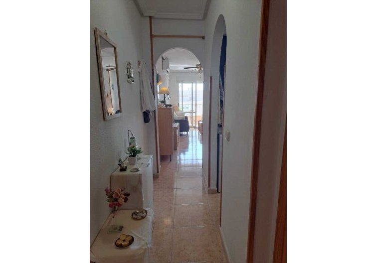 Segunda mano - Apartamento  - Torrevieja
