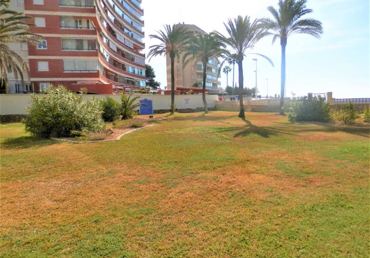 Wiederverkauf - Wohnung - Calpe - Costa Blanca