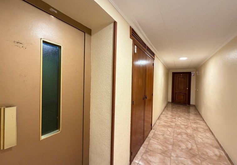 Resale - Apartment - Torrevieja - Paseo Maritimo