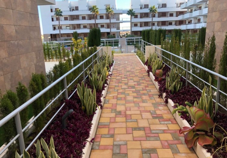 Wiederverkauf - Wohnung - Cabo Roig - Costa Blanca