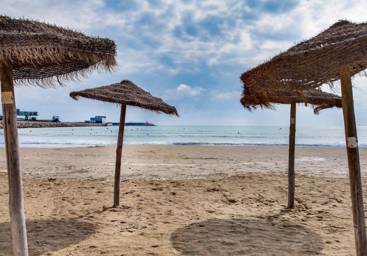 Wiederverkauf - Wohnung - Torrevieja - Parque De Las Naciones