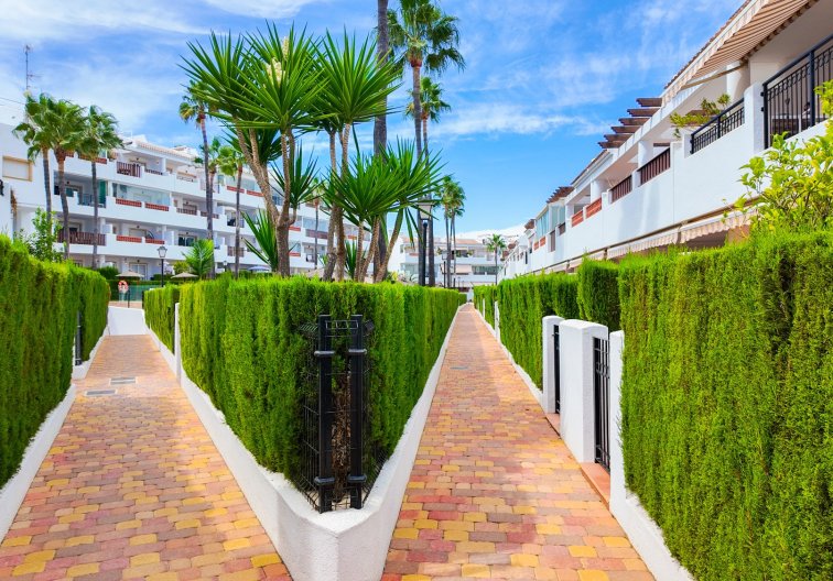 Segunda mano - Apartamento  - Orihuela Costa - Costa Blanca