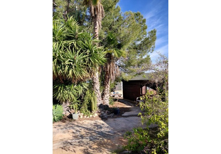 Wiederverkauf - Landhaus - Orihuela - Inland