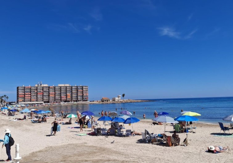 Resale - Apartment - Torrevieja - Playa de los Locos