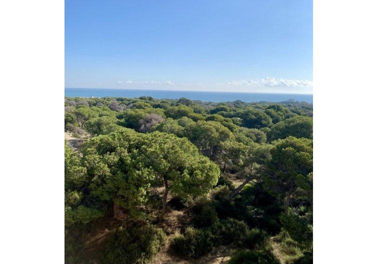 New Build - Penthouse - Guardamar del Segura - Centro