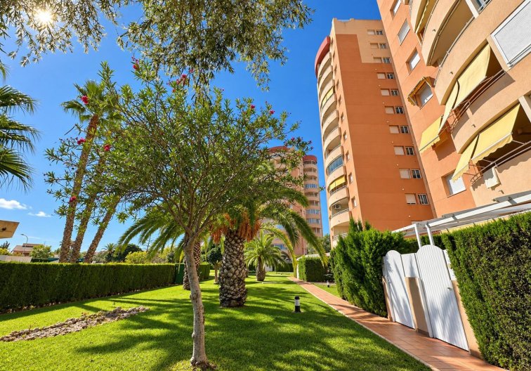 Wiederverkauf - Wohnung - Orihuela Costa - Campoamor
