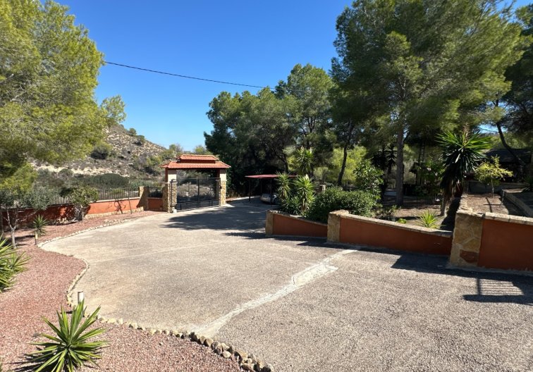 Revente - Finca - San Miguel de Salinas - Inland