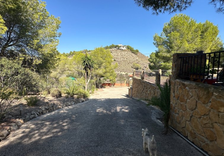 Revente - Finca - San Miguel de Salinas - Inland