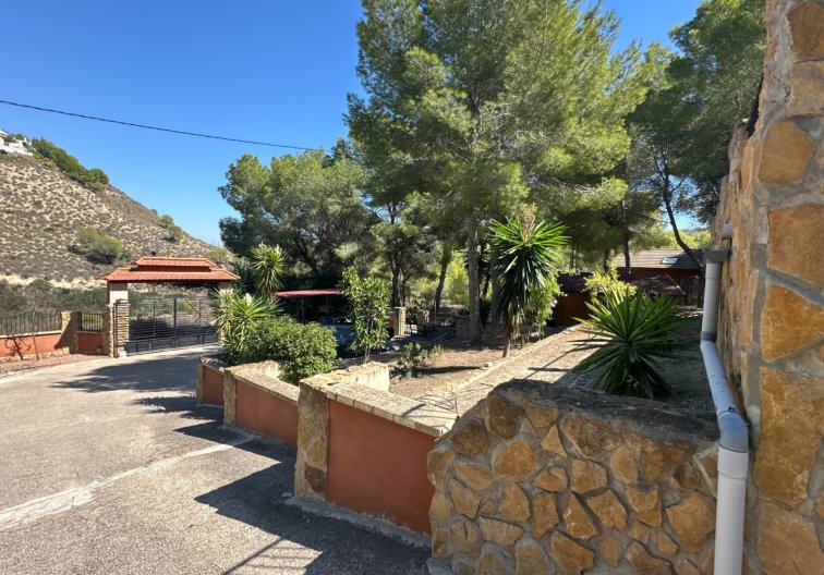 Revente - Finca - San Miguel de Salinas - Inland