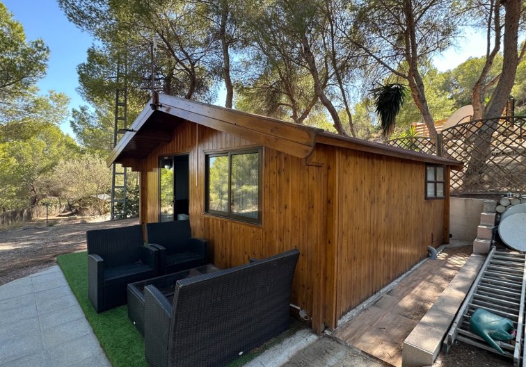 Revente - Finca - San Miguel de Salinas - Inland