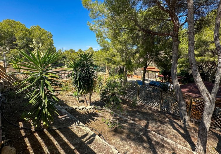 Revente - Finca - San Miguel de Salinas - Inland